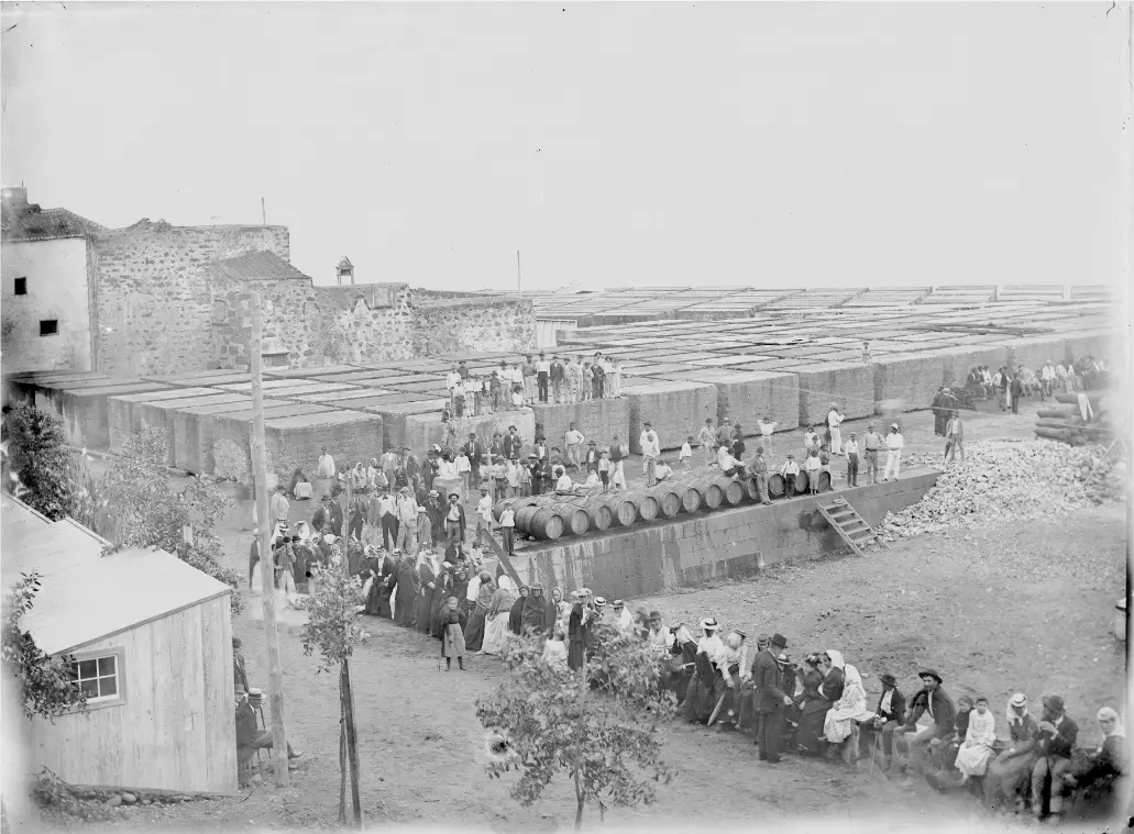Castillo de San Miguel del Puerto